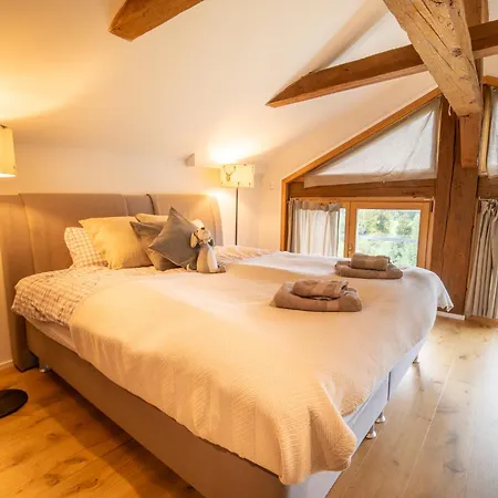 La Belle Des Vosges - Ferme De Caractere Villa